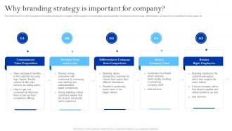 Winning Brand Strategy For Ecommerce Company Why Branding Strategy Is Important For Company