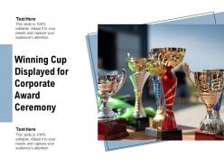 Winning Cup Displayed For Corporate Award Ceremony