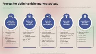 Winning Sales Techniques Process For Defining Niche Market Strategy MKT SS V