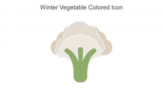 Winter Vegetable Colored Icon In Powerpoint Pptx Png And Editable Eps Format