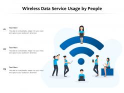 Wireless data service usage by people