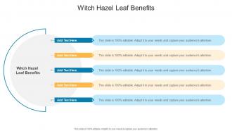 Witch Hazel Leaf Benefits In Powerpoint And Google Slides Cpb