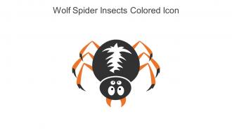 Wolf Spider Insects Colored Icon In Powerpoint Pptx Png And Editable Eps Format