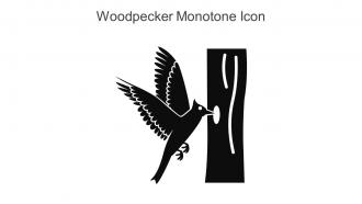 Woodpecker Monotone Icon In Powerpoint Pptx Png And Editable Eps Format