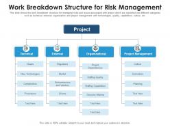 Work breakdown structure for risk management