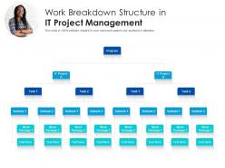 Work breakdown structure in it project management