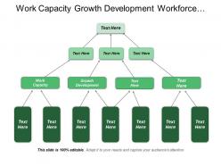 Work capacity growth development workforce performance risk compliance
