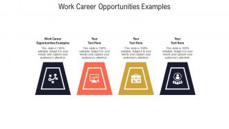 Work career opportunities examples ppt powerpoint presentation portfolio microsoft cpb