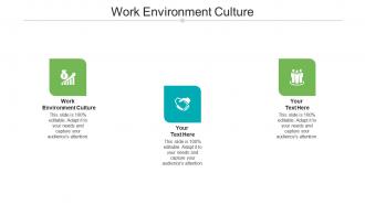 Work environment culture ppt powerpoint presentation portfolio elements cpb