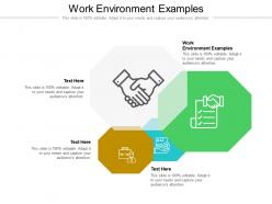 Work environment examples ppt powerpoint presentation ideas layout cpb