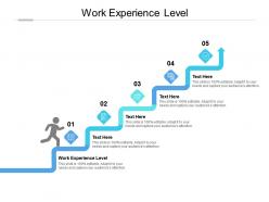 Work experience level ppt powerpoint presentation outline graphics design cpb