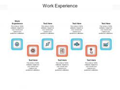 Work experience ppt powerpoint presentation styles deck cpb