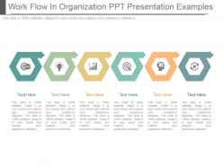 Work flow in organization ppt presentation examples