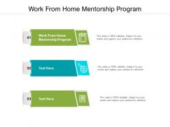 Work from home mentorship program ppt powerpoint presentation model example topics cpb