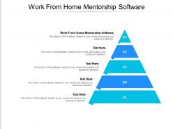 Work from home mentorship software ppt powerpoint presentation professional cpb