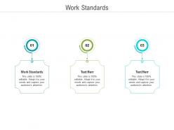 Work standards ppt powerpoint presentation professional templates cpb