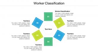 Worker classification ppt powerpoint presentation professional deck cpb