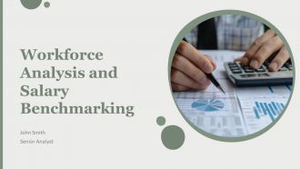 Workforce Analysis And Salary Benchmarking PPT Presentation AT