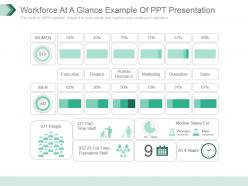 Workforce At A Glance Example Of Ppt Presentation