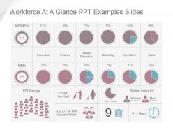 Workforce at a glance ppt examples slides