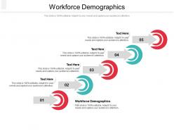 Workforce demographics ppt powerpoint presentation pictures styles cpb