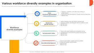 Workforce Diversity Powerpoint Ppt Template Bundles Informative Professional
