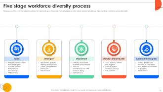 Workforce Diversity Powerpoint Ppt Template Bundles Attractive Professional
