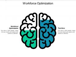 Workforce optimization ppt powerpoint presentation infographics outfit cpb