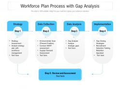 Workforce plan process with gap analysis