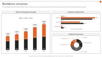 Workforce Structure It Services Research And Development Company Profile