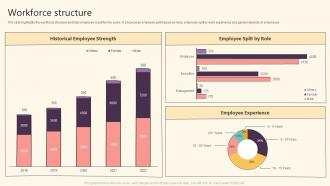 Workforce Structure It Solutions Company Profile Ppt Styles Design Templates