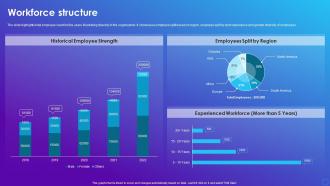 Workforce Structure Software Company Profile Ppt Sample