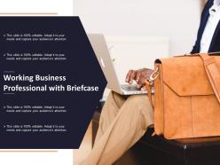 Working business professional with briefcase