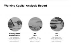 Working capital analysis report ppt powerpoint presentation layouts visuals cpb