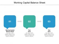 Working capital balance sheet ppt powerpoint presentation infographics templates cpb