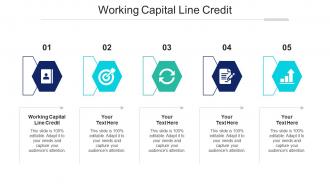 Working Capital Line Credit Ppt Powerpoint Presentation Styles Background Designs Cpb