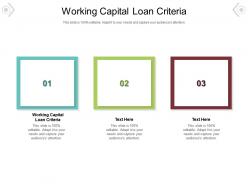 Working capital loan criteria ppt powerpoint presentation visual aids ideas cpb