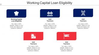Working Capital Loan Eligibility Ppt Powerpoint Presentation Show Elements Cpb