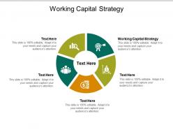 Working capital strategy ppt powerpoint presentation infographic template elements cpb