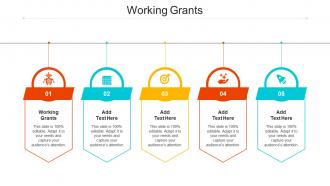 Working Grants Ppt Powerpoint Presentation Gallery Infographic Template Cpb