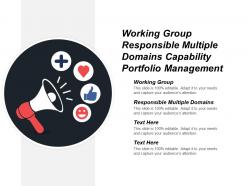 Working group responsible multiple domains capability portfolio management