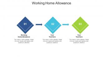 Working home allowance ppt powerpoint presentation infographic template elements cpb