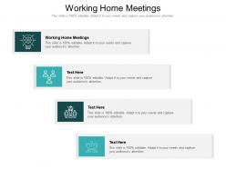 Working home meetings ppt powerpoint presentation professional format ideas cpb