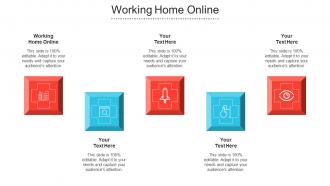 Working Home Online Ppt Powerpoint Presentation Infographics Template Cpb