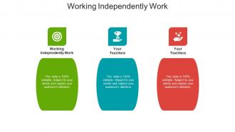 Working independently work ppt powerpoint presentation infographics icons cpb