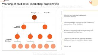 Working Of Multi Level Marketing Organization Building Network Marketing Plan For Salesforce MKT SS V