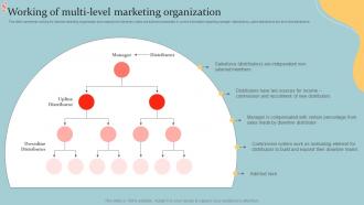 Working Of Multi Level Marketing Organization Executive MLM Plan MKT SS V