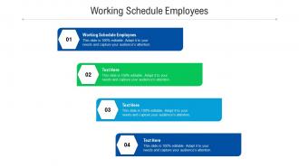 Working schedule employees ppt powerpoint presentation ideas files cpb