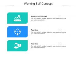 Working self concept ppt powerpoint presentation show format cpb
