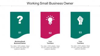 Working Small Business Owner Ppt Powerpoint Presentation Download Cpb